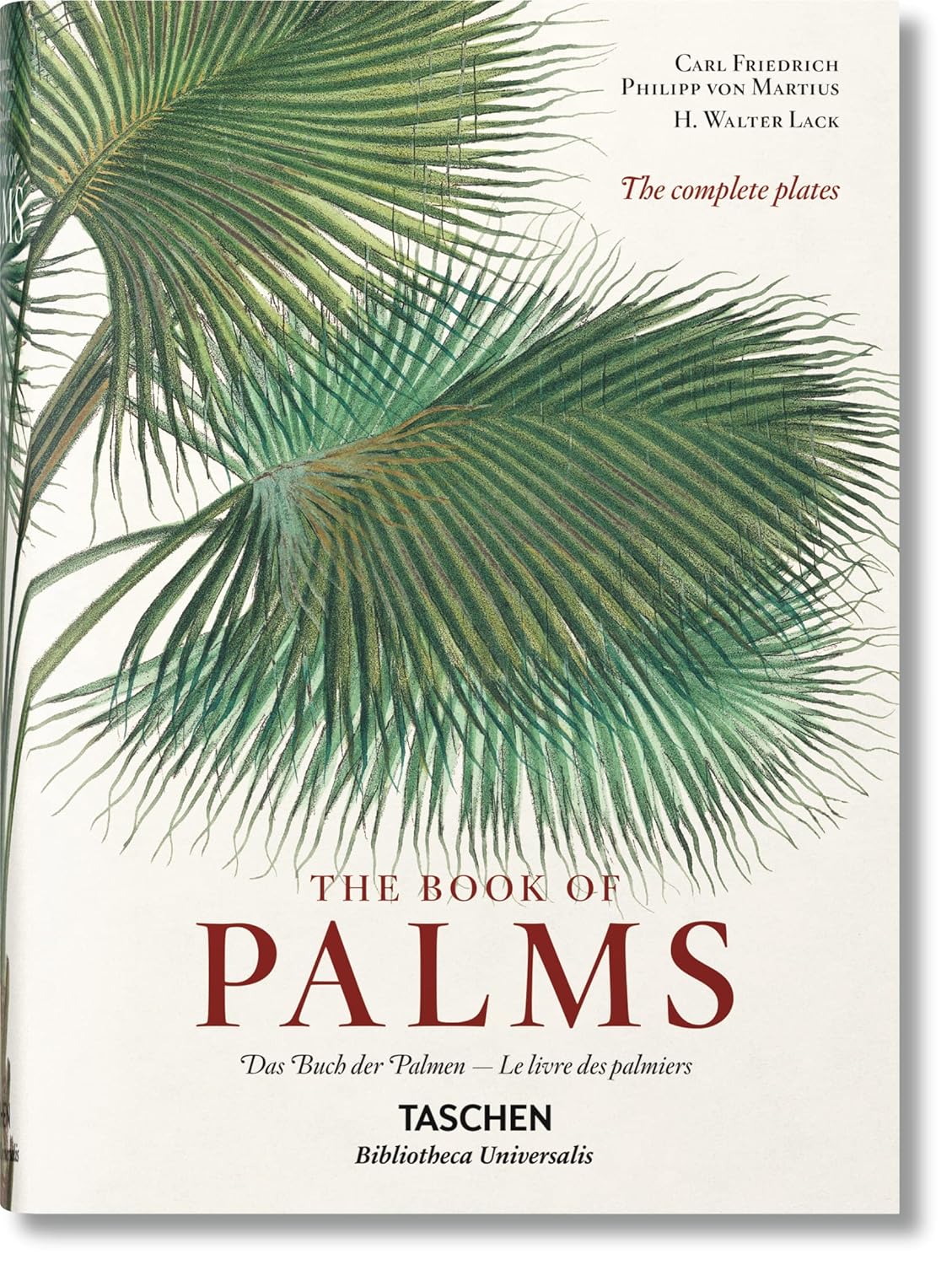 MARTIUS. THE BOOK OF PALMS. 40TH ED